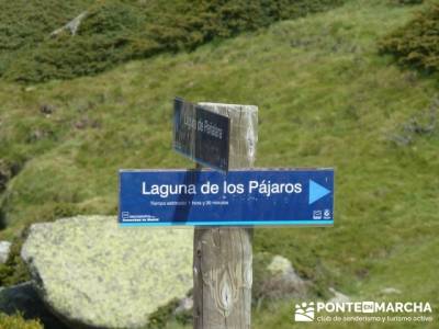 Ruta senderismo Peñalara - Parque Natural de Peñalara - Laguna de los Pajaros; 